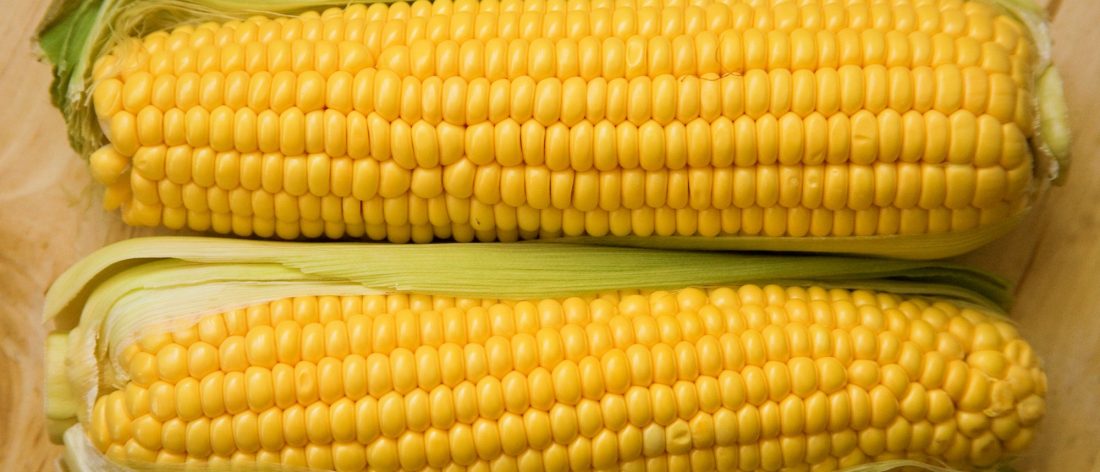 Corncobs
