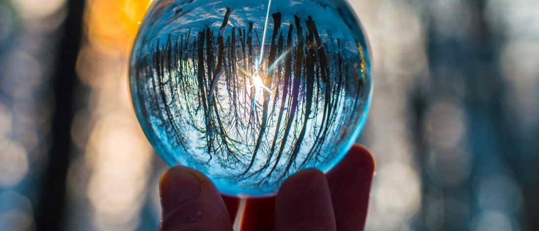 Synchronicity - Viewing forest through glass sphere