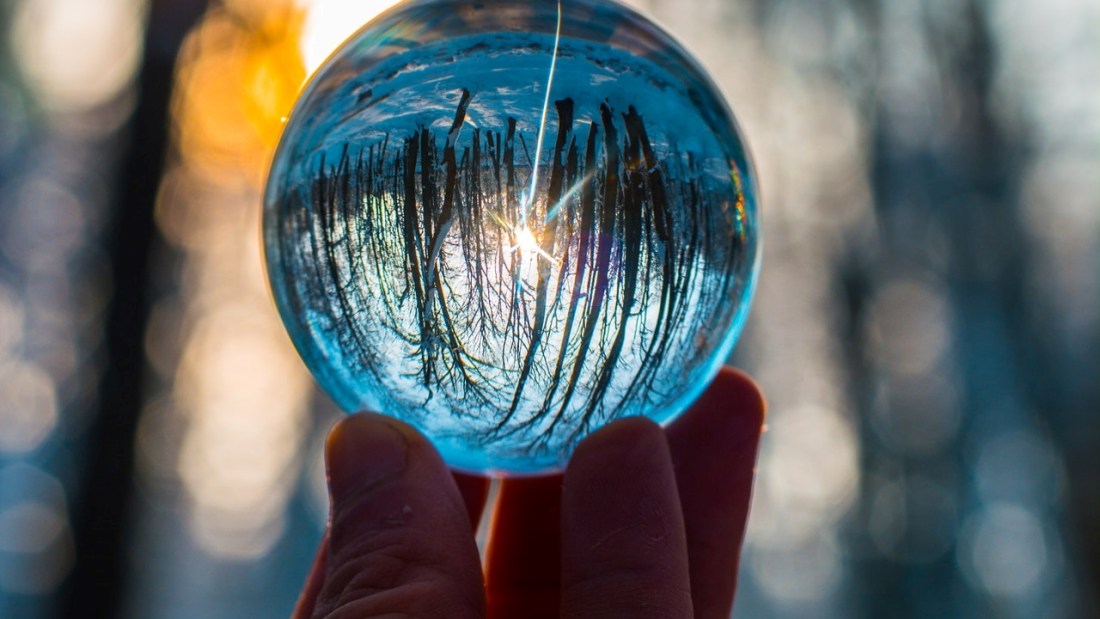 Synchronicity - Viewing forest through glass sphere