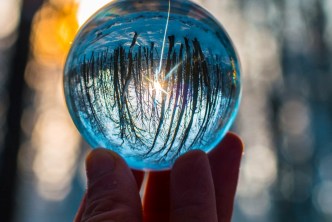 Synchronicity - Viewing forest through glass sphere